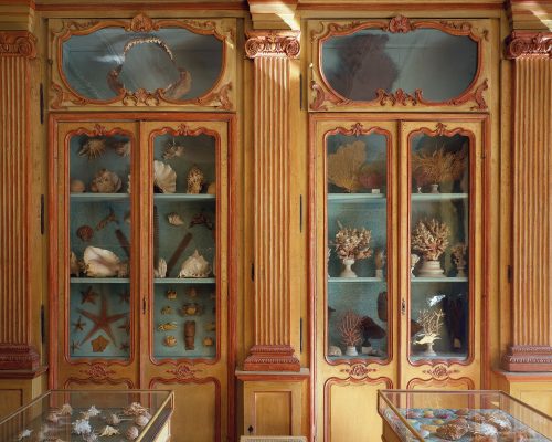 Massimo Listri, Cabinet d’histoire naturelle de Clément Lafaille, Musée d’Histoire Naturelle de La Rochelle, 2011